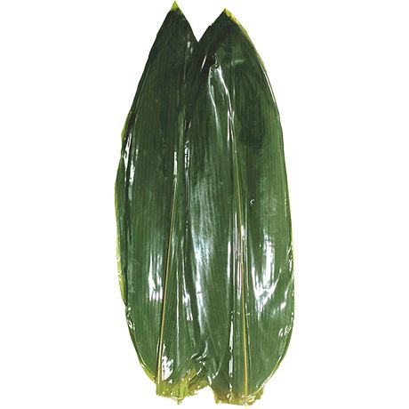 SHINE FARM Bambusblätter Feucht 400g