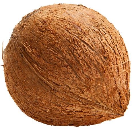 WABU Kokosnuss Braun