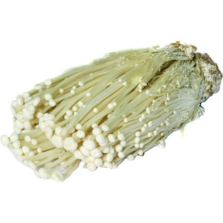 Needle Mushroom Enoki 200g - Panda-Panda Asia Shop by JEN